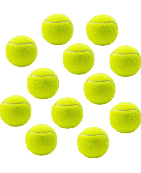 12 Stück Tennisbälle, Freizeit Tennisbälle, Tennisball Hund, Tennisbäll Kinder, Tennisball Anfänger, mit Mesh Tragetasche, für Tennis Unterricht, Ballmaschinen und Hunde Spielgerät