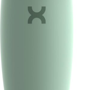 Eiweiß Shaker Flasche Neue Edition – Isolierte Edelstahl-Wasserflasche und Mixerbecher, 550ml, Seegras Grün