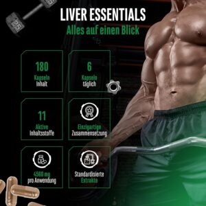 Liver Essentials - 180 Kapseln - Hochdosierter Leber Komplex mit Mariendistel, Cholin, NAC, Artischocken, Löwenzahn, Schizandra, Ingwerextrakt, Indol-3-Carbinol, Desmodium, Rutin - Vegan