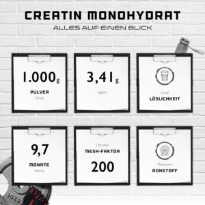 Creatin Pulver - 0,3kg / 300g - 1kg / 1000 g - Reines Creatin Monohydrat - Optimale Löslichkeit - Vegan - Ohne Zusätze - Pure Powder - German Elite Nutrition